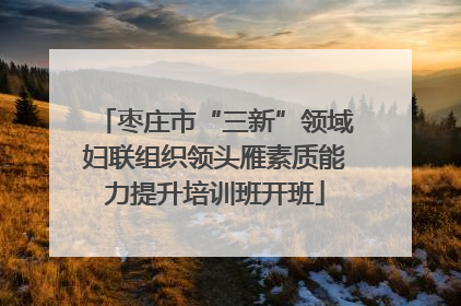 枣庄市“三新”领域妇联组织领头雁素质能力提升培训班开班