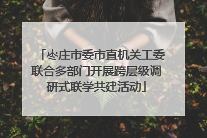 枣庄市委市直机关工委联合多部门开展跨层级调研式联学共建活动