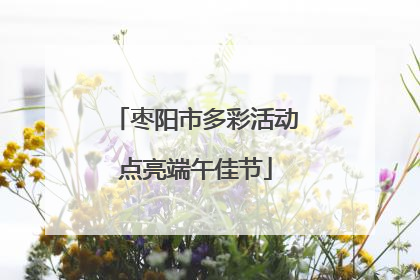 枣阳市多彩活动点亮端午佳节