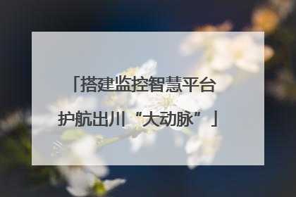 搭建监控智慧平台 护航出川“大动脉”