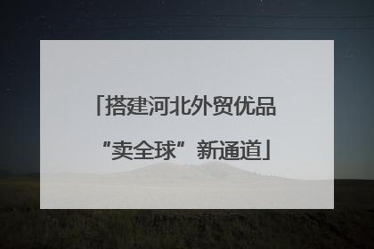 搭建河北外贸优品“卖全球”新通道