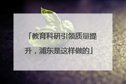 教育科研引领质量提升，浦东是这样做的