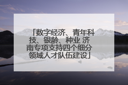 数字经济、青年科技、银龄、种业 济南专项支持四个细分领域人才队伍建设