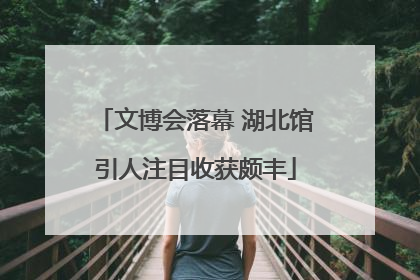 文博会落幕 湖北馆引人注目收获颇丰