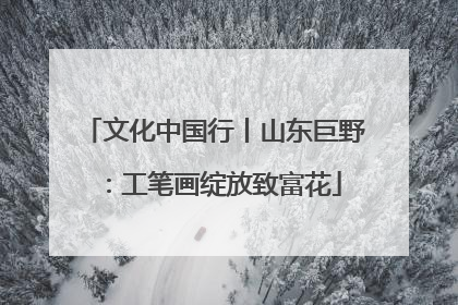 文化中国行丨山东巨野：工笔画绽放致富花