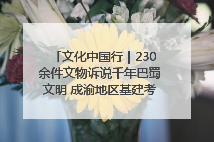 文化中国行｜230余件文物诉说千年巴蜀文明 成渝地区基建考古成果展开展