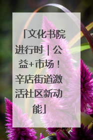文化书院进行时｜公益+市场！辛店街道激活社区新动能