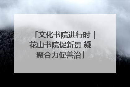 文化书院进行时｜花山书院促新景 凝聚合力促善治