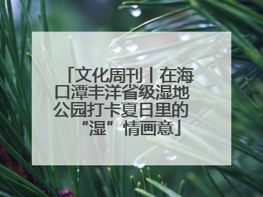 文化周刊丨在海口潭丰洋省级湿地公园打卡夏日里的“湿”情画意