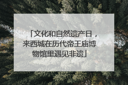 文化和自然遗产日，来西城在历代帝王庙博物馆里遇见非遗