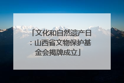 文化和自然遗产日：山西省文物保护基金会揭牌成立