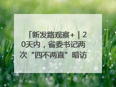 新发路观察+｜20天内，省委书记两次“四不两直”暗访，有何深意？