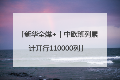 新华全媒+｜中欧班列累计开行110000列