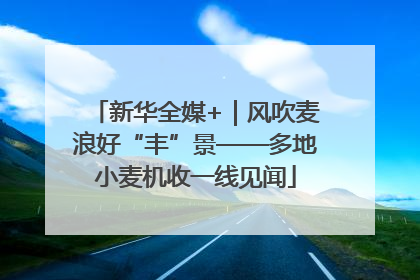 新华全媒+｜风吹麦浪好“丰”景——多地小麦机收一线见闻