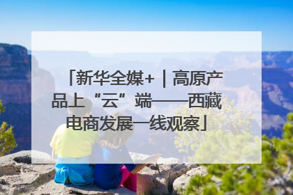 新华全媒+｜高原产品上“云”端——西藏电商发展一线观察
