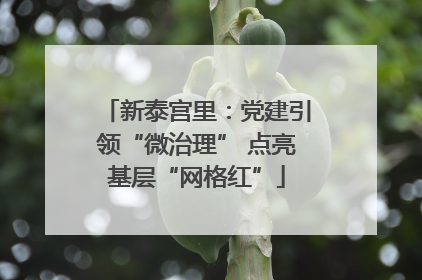 新泰宫里：党建引领“微治理” 点亮基层“网格红”