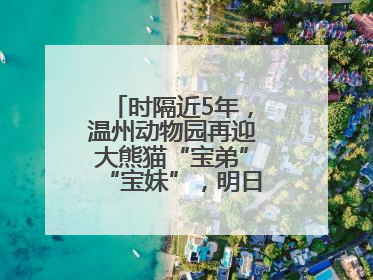 时隔近5年，温州动物园再迎大熊猫“宝弟”“宝妹”，明日正式开馆！