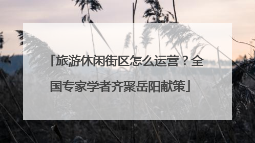 旅游休闲街区怎么运营？全国专家学者齐聚岳阳献策