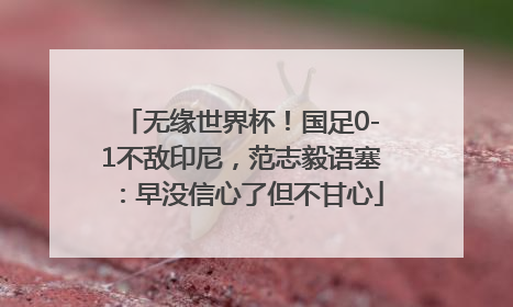 无缘世界杯！国足0-1不敌印尼，范志毅语塞：早没信心了但不甘心