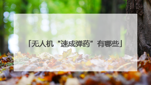 无人机“速成弹药”有哪些