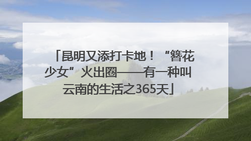 昆明又添打卡地！“簪花少女”火出圈——有一种叫云南的生活之365天
