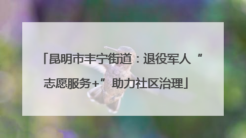 昆明市丰宁街道：退役军人“志愿服务+”助力社区治理