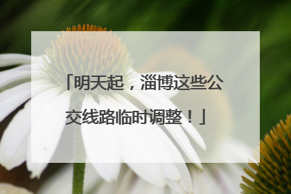 明天起，淄博这些公交线路临时调整！