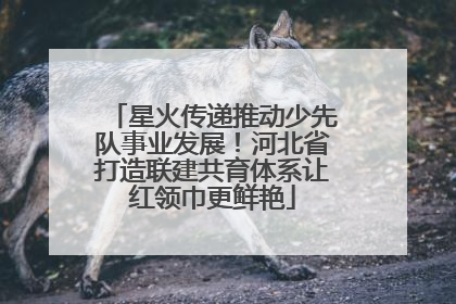 星火传递推动少先队事业发展！河北省打造联建共育体系让红领巾更鲜艳
