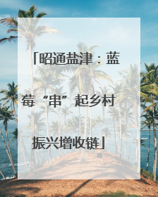 昭通盐津：蓝莓“串”起乡村振兴增收链