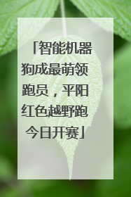 智能机器狗成最萌领跑员，平阳红色越野跑今日开赛