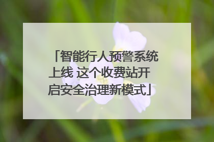 智能行人预警系统上线 这个收费站开启安全治理新模式