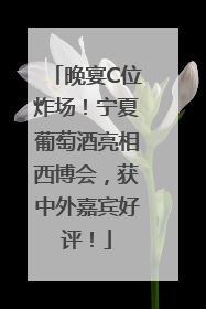 晚宴C位炸场！宁夏葡萄酒亮相西博会，获中外嘉宾好评！