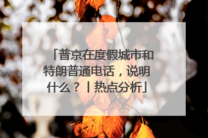 普京在度假城市和特朗普通电话，说明什么？丨热点分析