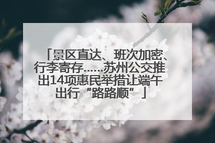 景区直达、班次加密、行李寄存……苏州公交推出14项惠民举措让端午出行“路路顺”
