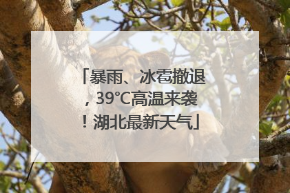 暴雨、冰雹撤退，39℃高温来袭！湖北最新天气