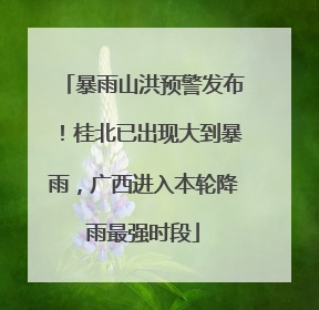 暴雨山洪预警发布！桂北已出现大到暴雨，广西进入本轮降雨最强时段
