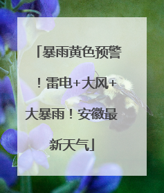 暴雨黄色预警！雷电+大风+大暴雨！安徽最新天气