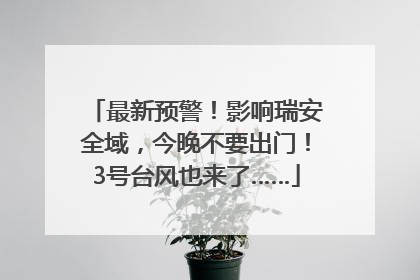 最新预警！影响瑞安全域，今晚不要出门！3号台风也来了……