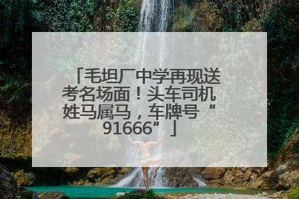 毛坦厂中学再现送考名场面！头车司机姓马属马，车牌号“91666”