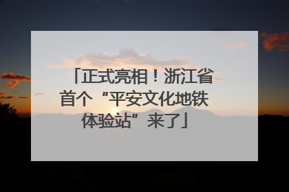 正式亮相！浙江省首个“平安文化地铁体验站”来了