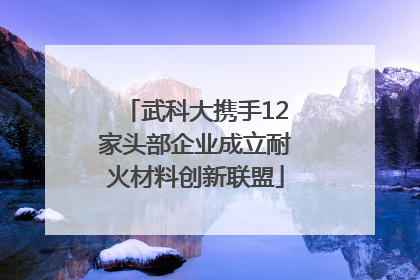 武科大携手12家头部企业成立耐火材料创新联盟