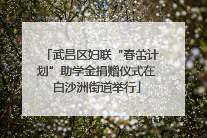 武昌区妇联“春蕾计划”助学金捐赠仪式在白沙洲街道举行