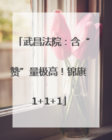 武昌法院：含“赞”量极高！锦旗1+1+1