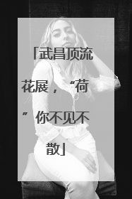 武昌顶流花展，“荷”你不见不散