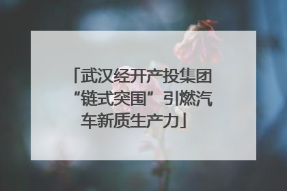 武汉经开产投集团“链式突围”引燃汽车新质生产力