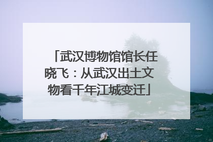 武汉博物馆馆长任晓飞：从武汉出土文物看千年江城变迁