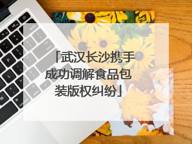 武汉长沙携手成功调解食品包装版权纠纷