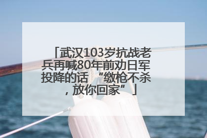 武汉103岁抗战老兵再喊80年前劝日军投降的话 “缴枪不杀，放你回家”
