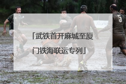 武铁首开麻城至厦门铁海联运专列