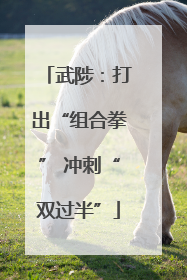 武陟：打出“组合拳” 冲刺“双过半”